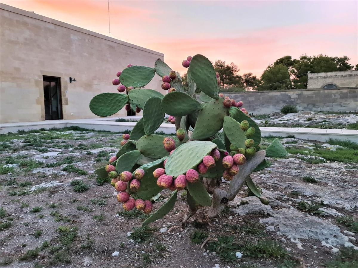 Masseria Specchiulla Otranto Eksteriør bilde